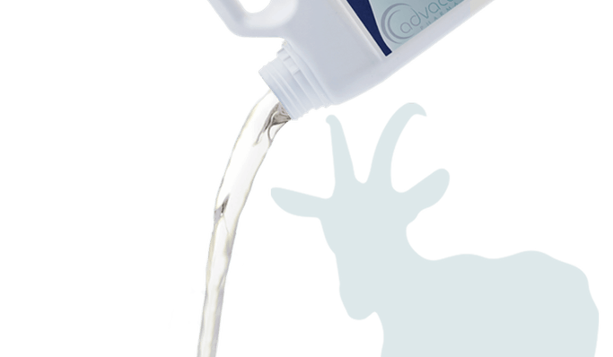 Veterinary Disinfectants